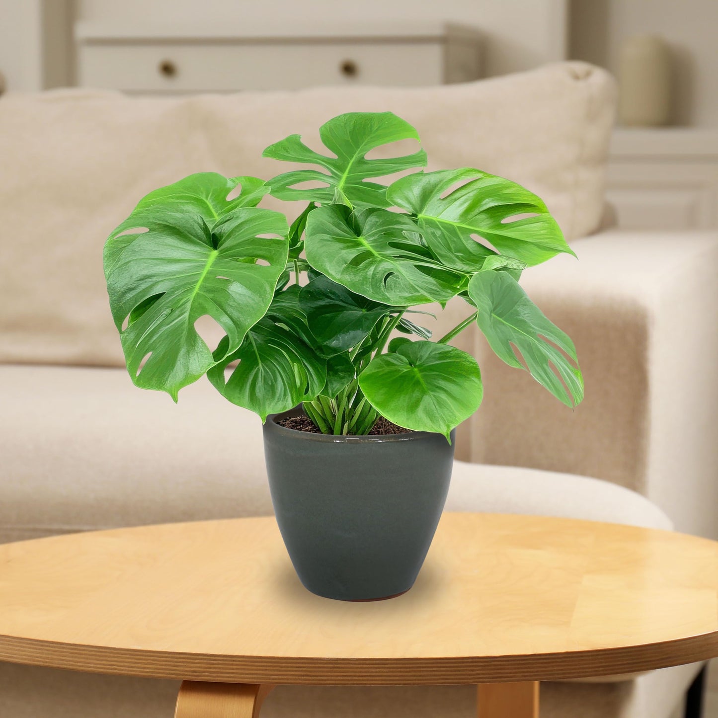 Sunnydaze Resort Round Ceramic Planter - Set of 2 Indoor or Outdoor Plant Pots with Drainage Hole - 8" - Gray Glaze"