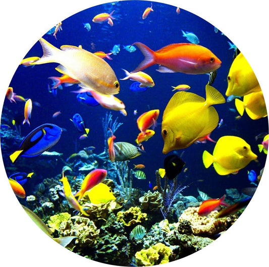 Ocean Fish Swimming Edible Icing Image for 8 inch round cake
