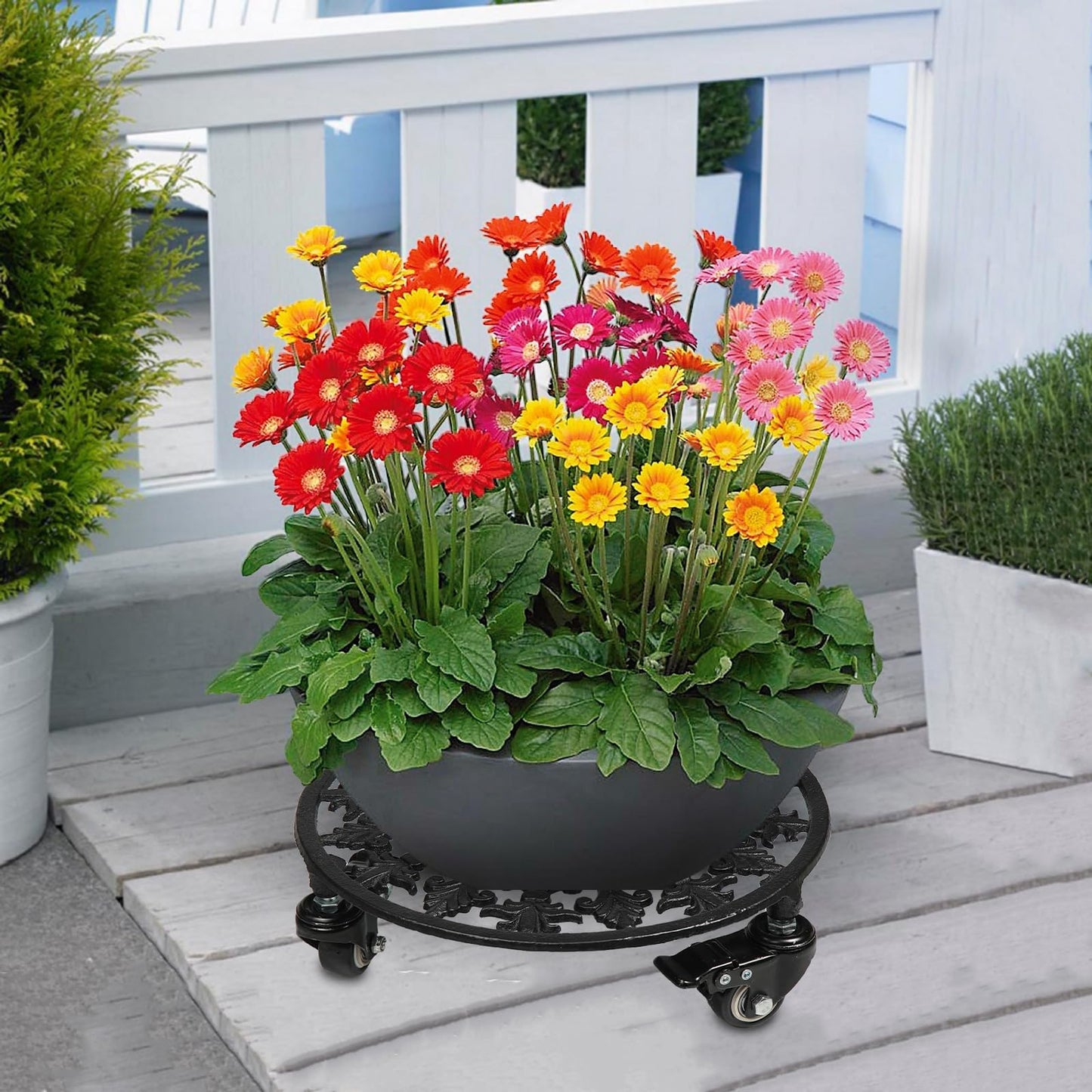 GARGENTOL Rolling Plant Stand with Wheels, 2 Pack Heavy Duty Metal Plant Caddy 11 Inch Wrought Iron Plant Dolly Outdoor Round Plant Rollers Stand for Large Potted Plants and Flower Pot, Black