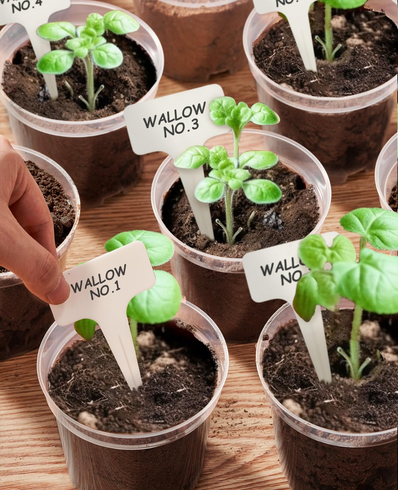homenote Clear Nursery Pots for Plants,4/5/6.7 Inch Plant Pot for Planting Plastic Seedling Pots with Drainage Holes Seed Starter Pot Flower Pots High Transparency with 20 Plant Labels (30 Pack)