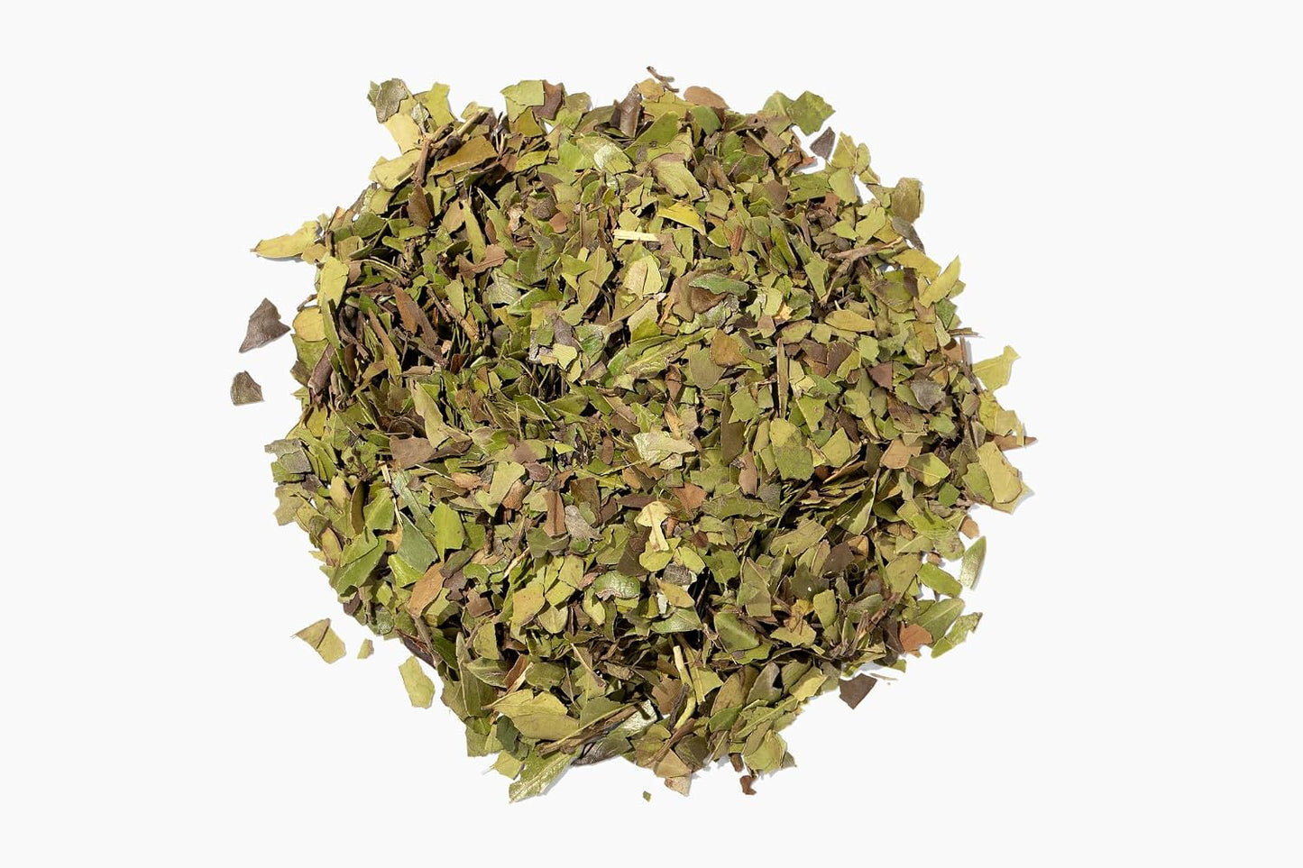 CatSpring Yaupon Tea – 1 lb Bulk Loose Leaf, Wild-Harvested American Yaupon (Pedernales Green)