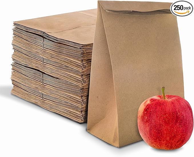 Stock Your Home 4 Lb Kraft Brown Paper Lunch Bags (250 Count) - Bulk Disposable Lunch Sacks, Small Size Blank Bag for Kids, Good for a Snack, Sandwich, Grocery Food, and Arts & Crafts Projects