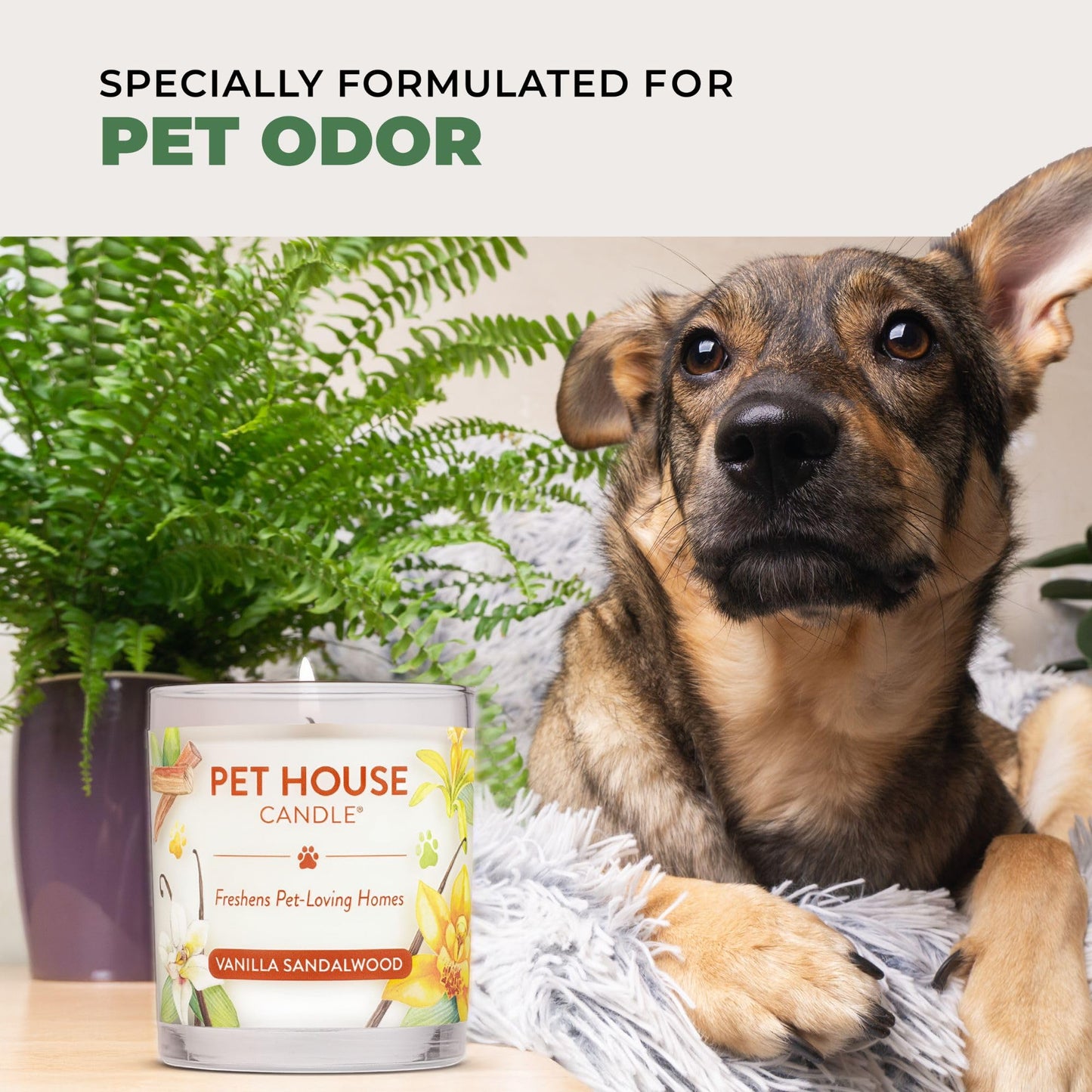 Pet House Candles, 9 oz Fresh Cut Grass Scented Candle, Clean Burning, Long Lasting Plant-Based Pet Friendly Candle, 60 Hour Burn Time