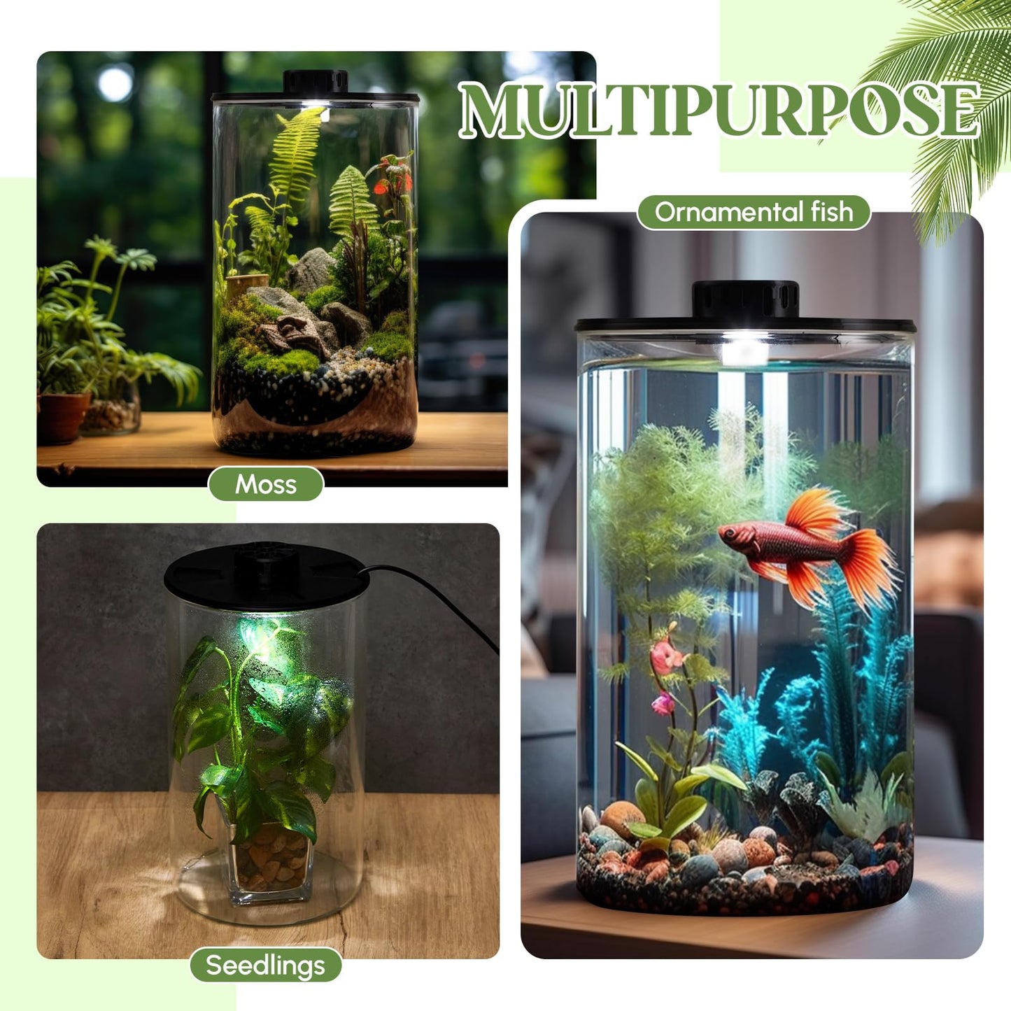 Maxdot Glass Plant Terrarium Kit with Light for Succulent, Moss, Miniature Gardening Landscape, Betta Fish Tank, Office Home Decoration, Plant Lovers Gifts(9.8 x 5.9 Inch)