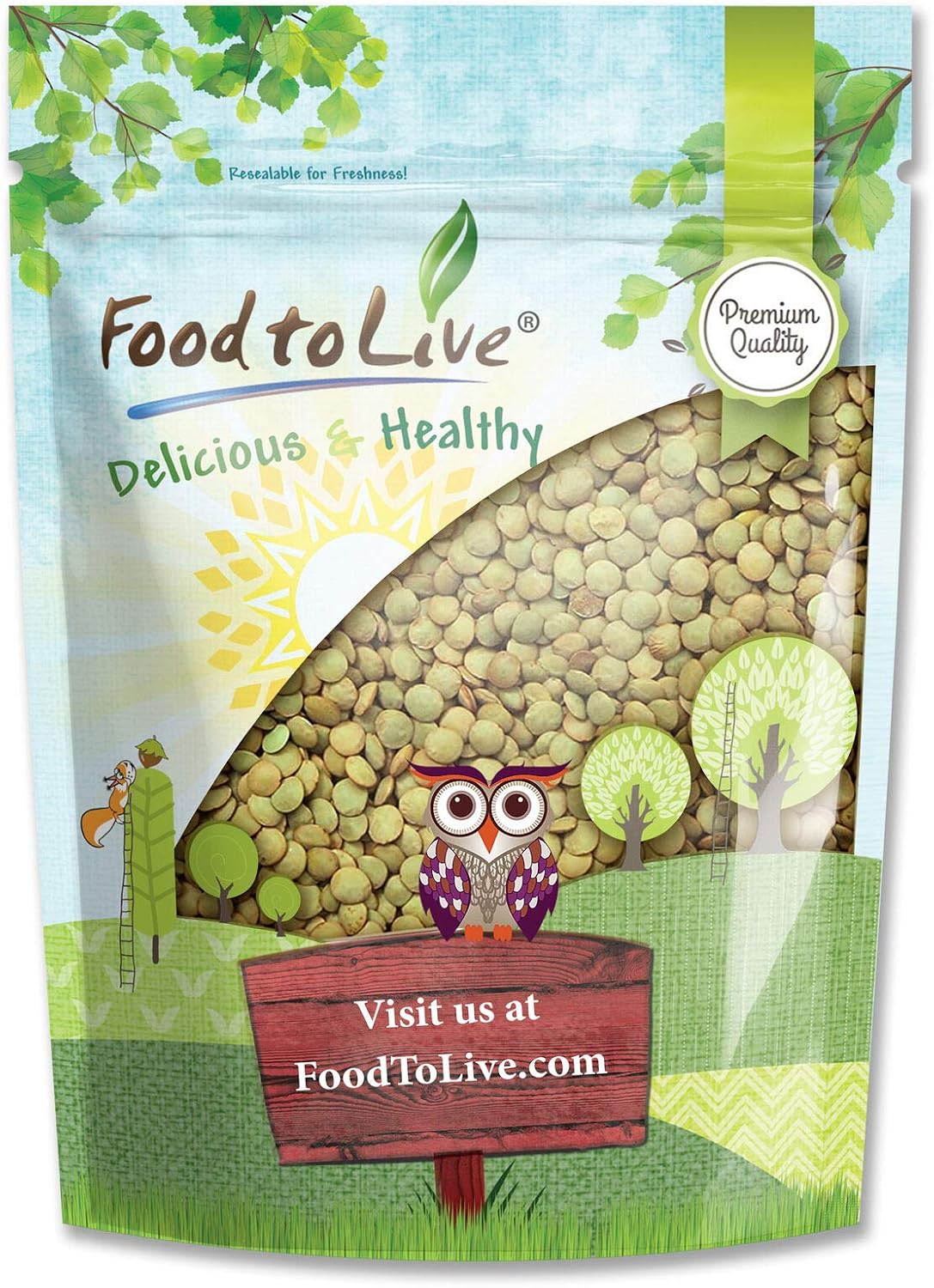 Food to Live - Whole Green Lentils, 1 Pound Dried Raw Lentils, Sproutable, Kosher, Vegan. Rich in Dietary Fiber, and Protein. No Soaking Required.