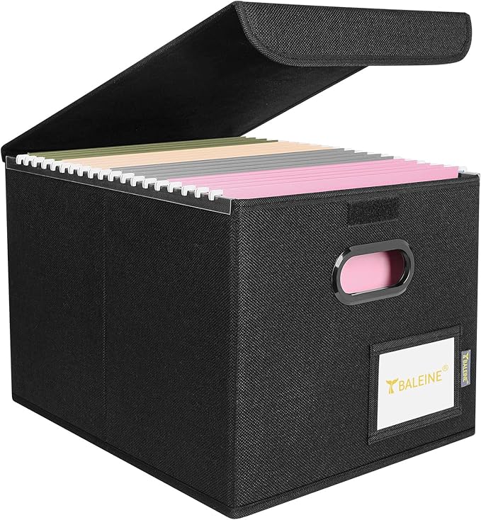 BALEINE File Organizer Box with Lid, Collapsible File Folder Organizer with Plastic Slide, Hanging File Folder Box for Office Document Storage (1 Pack, Black)