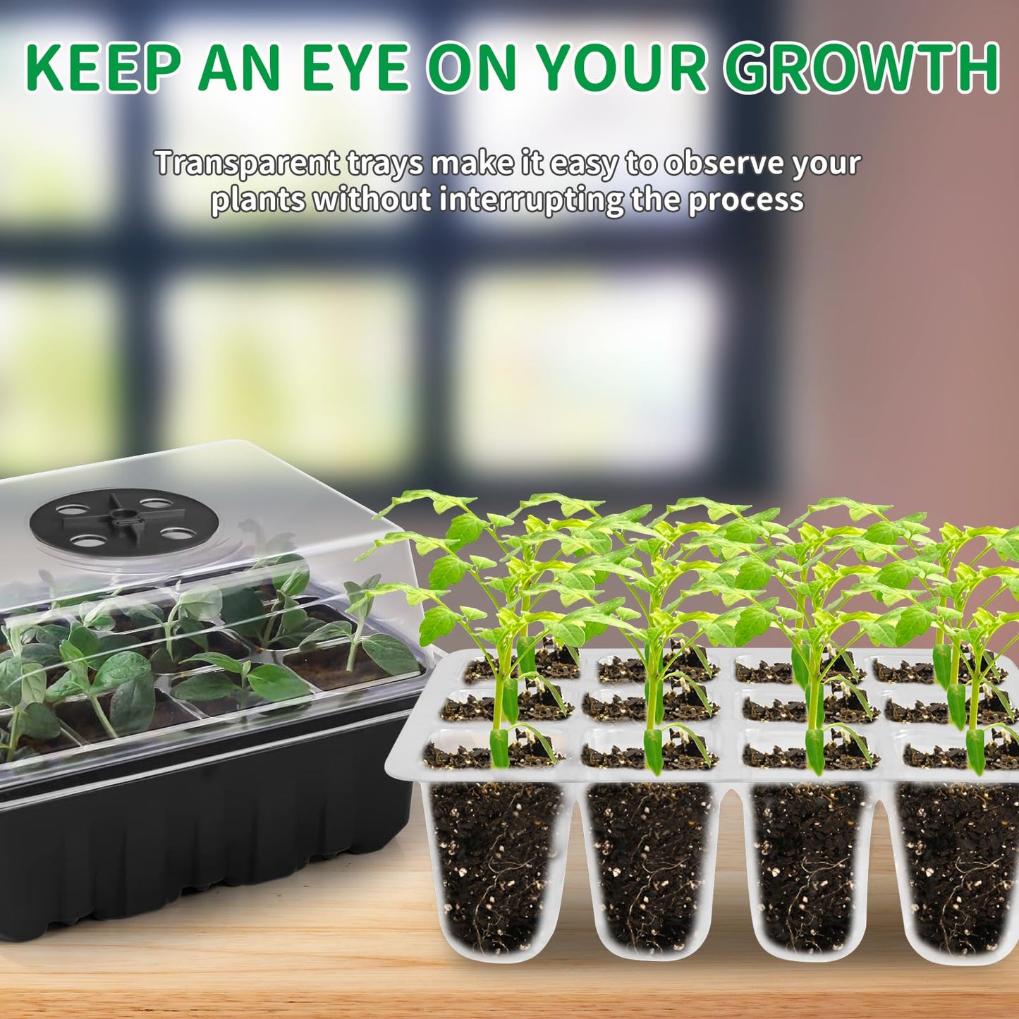 NAMOTEK 5 Pack Seed Starter Tray with Heat Mat and Grow Light Humidity Domes, 60 Cell Trays Germination Station Cloning Kit