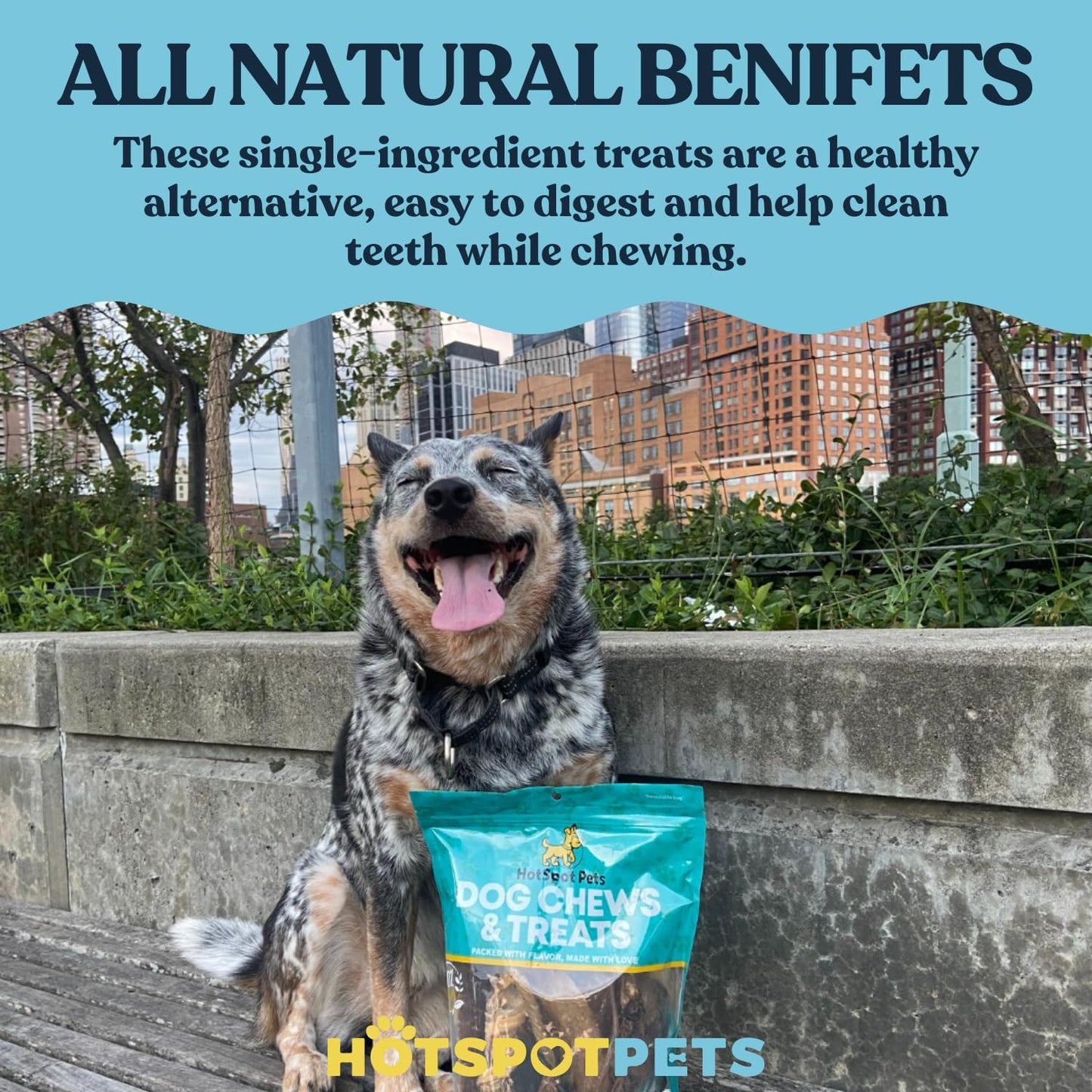 hotspot pets Premium Deer Antlers for Dogs - 7+ Inch Large Antler Dog Chews (2 Pack) Made in USA - Naturally Shed Antler Bone for Large Breed Aggressive Chewers - Promotes Dental Hygiene