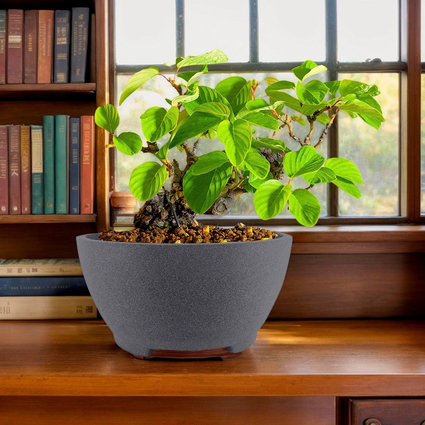 TINYVISTA 8.26” Gray Ceramic Bonsai Pot with Drainage Holes - Large Unglazed Clay Planter for Ficus Trees, Succulents & Indoor Plants, 4" Deep Round"