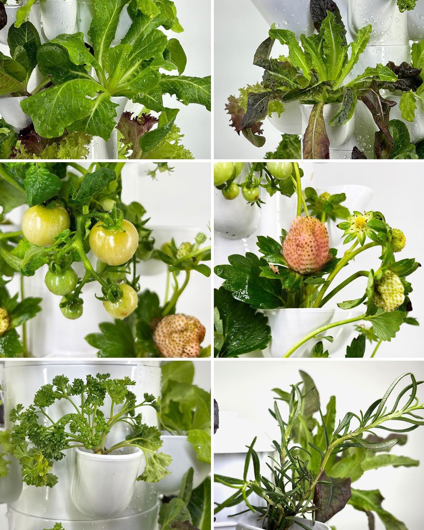 DPROOTS Hydroponic Tower Growing System，45 Pods Vertical Garden，Suitable for Indoor and Greenhouse, Grow Herbs and Vegetables，Houseplant Farming with Water Circulation and Automatic Timer
