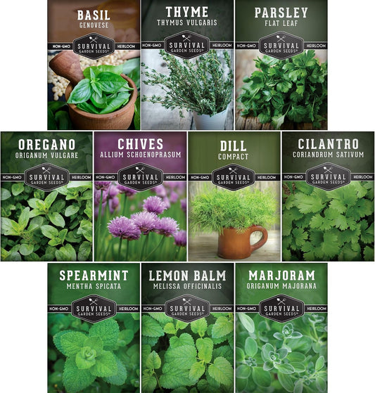 Indoor Herb Seeds Variety Pack | 10 Herbs for Planting – Basil, Mint, Parsley, Cilantro, Thyme, Dill, Chives, Oregano, Lemon Balm, Marjoram – Kitchen Garden Gift Set – Survival Garden Seeds