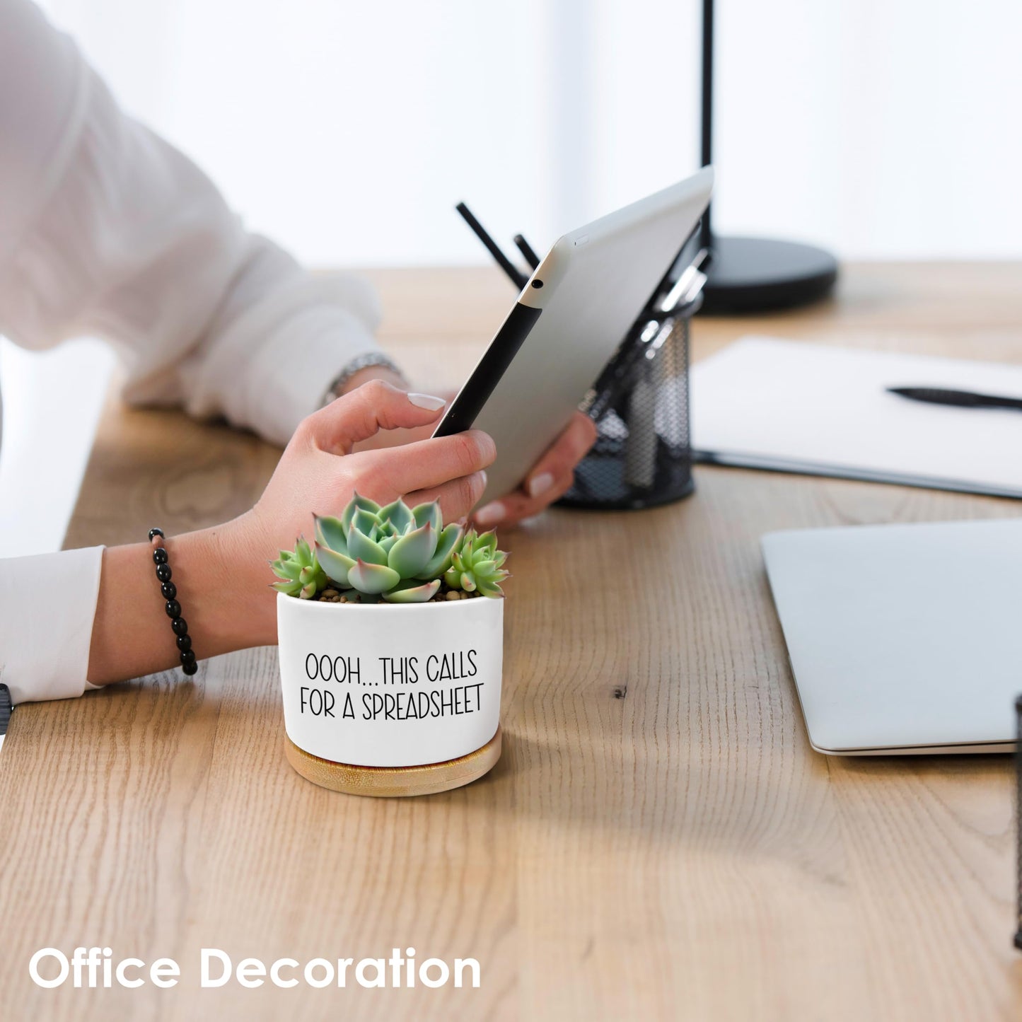 ROXMART Funny Office Gifts Plant Pots, Sarcastic Gifts for Coworkers Succulent Planters, This Calls for a Spreadsheet Ceramic Plant Flower Pots for Home Office Desk Table Shelf(No Plants)