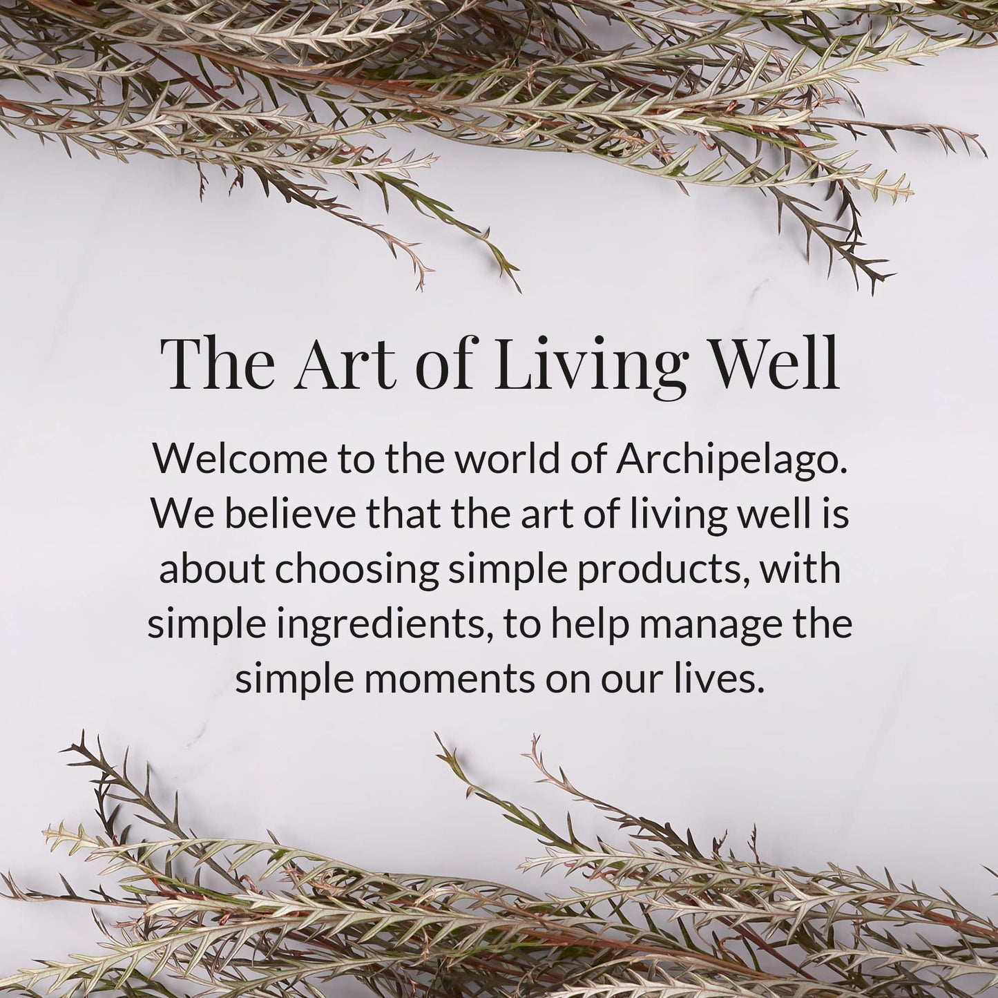 Archipelago Botanicals Scented Candle Hand-Poured Premium Wax, Burns Approx. 60 Hours, Mango, Tangerine, Soy Candle in Glass Jar, 4.5 Inch, 8.6 oz