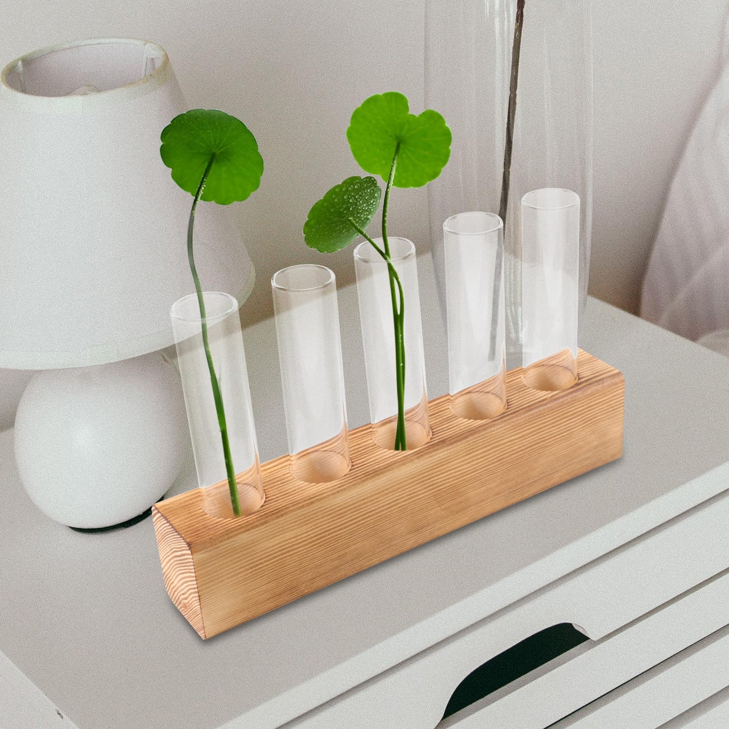 GRIRIW Glass Hydroponic Planter with 5-Hole Wooden Stand, Indoor Plant Terrarium Vase for Water Propagation, Test Tube Bud Vase for Home and Office Décor