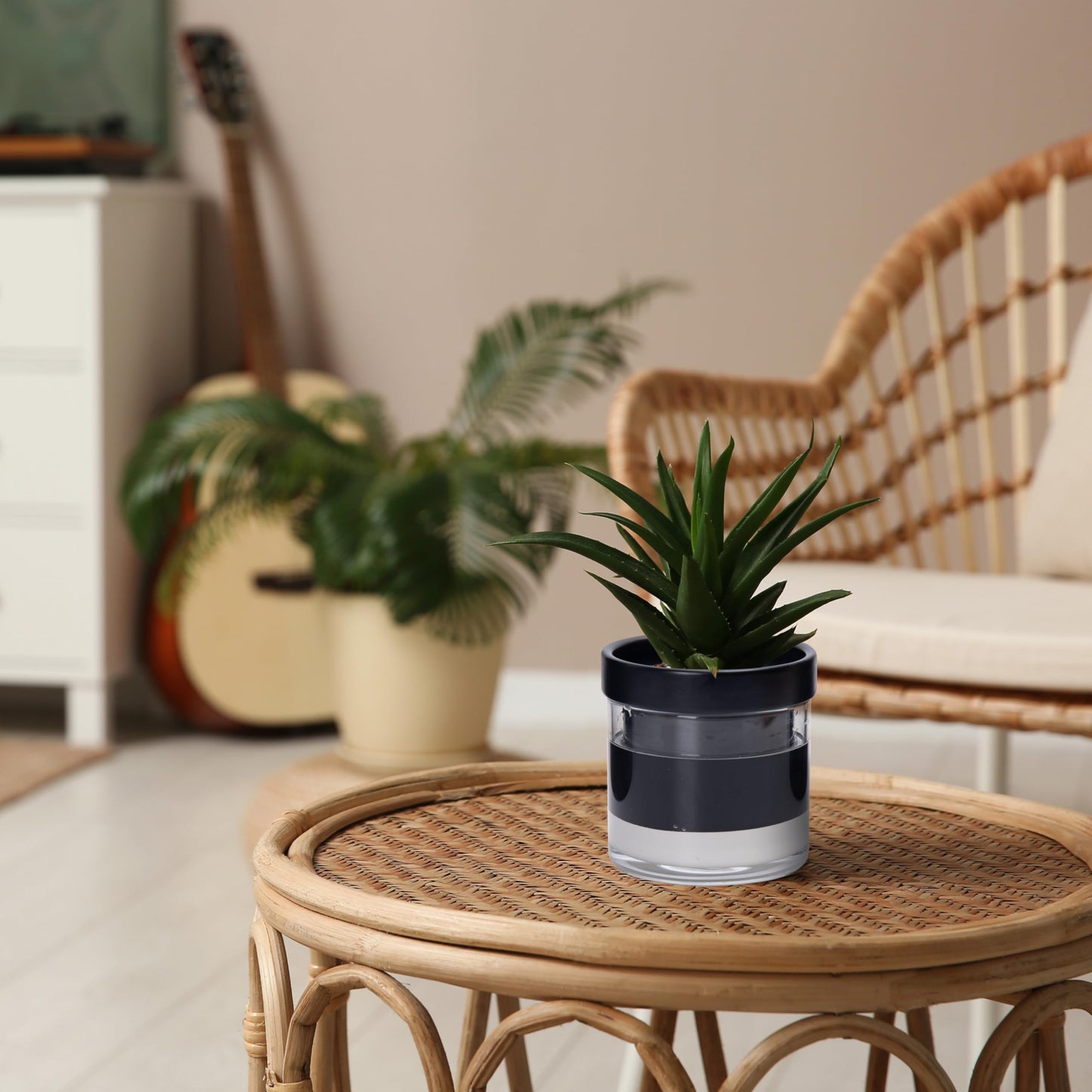 Phoenix Vine 4 Inch Self Watering Planter Pot, Black Terracotta Clay Pot with Glass Reservoir for Indoor Plants, Herbs, Flowers, Set of 3, 52-C-E-3