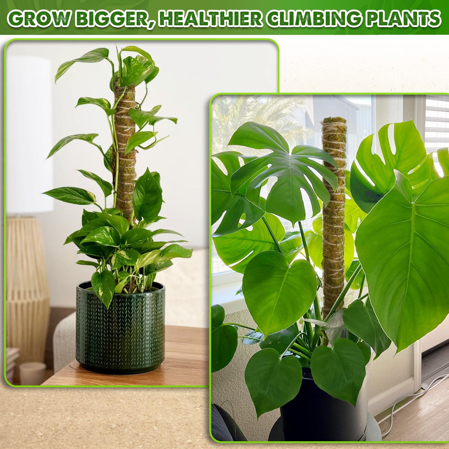 DUSPRO Natural Stackable Moss Pole for Plants Monstera, Forest Moss Sticks, Monstera Plant Support, Handmade Plant Stakes for Indoor Plants for Potted Plant to Grow Upward 02 pcs 22''