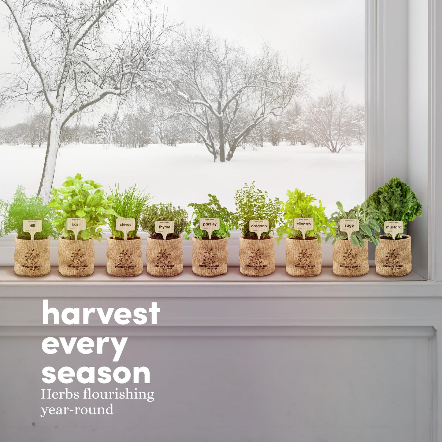Planters' Choice 9 Herb Indoor Window Garden Kit - House Plants Seeds - Best Unique Gift Ideas for Women, Mom, Friend, Her, Birthday, Housewarming, Mother - New Home Kitchen Gifts - Live Plant Starter
